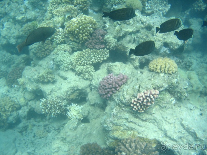 Хургада 2004 - море