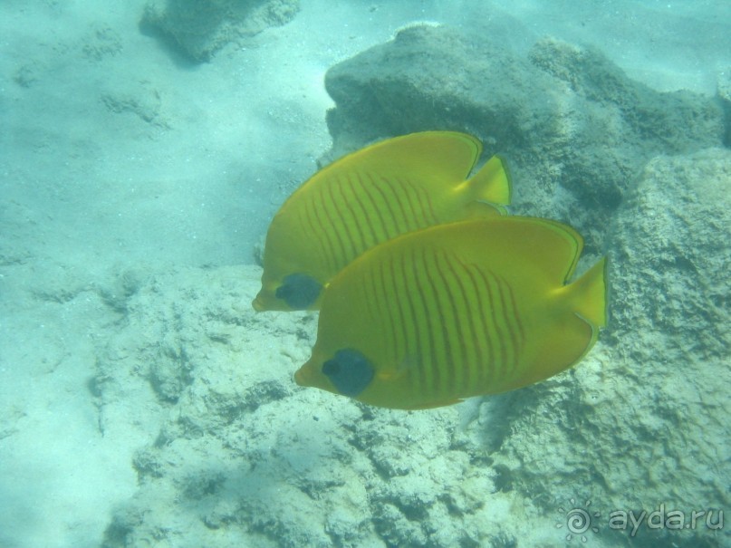 Хургада 2004 - море