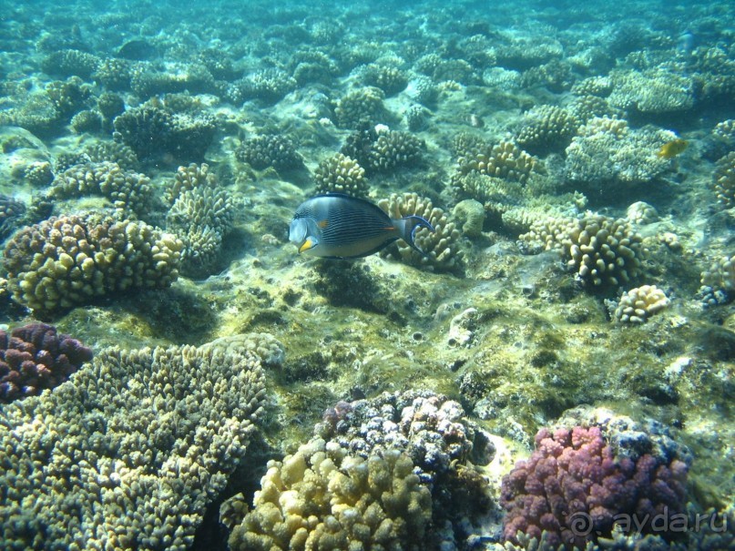 Хургада 2004 - море