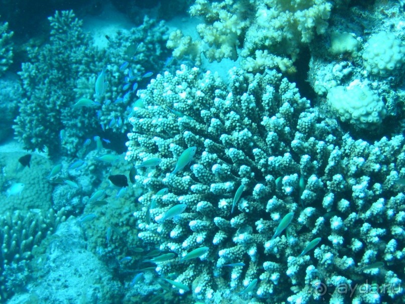 Хургада 2004 - море