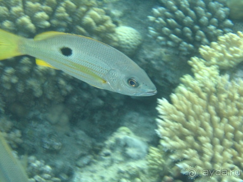 Хургада 2004 - море