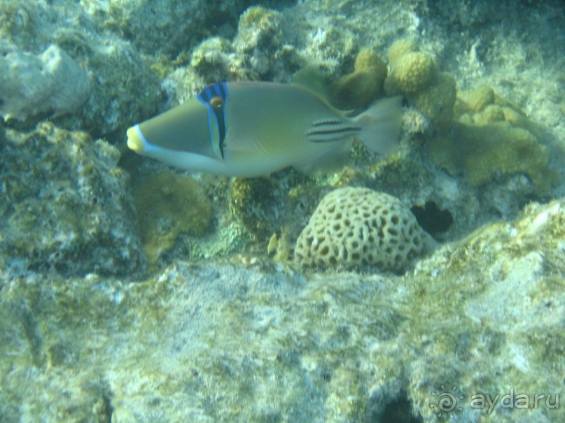 Хургада 2004 - море