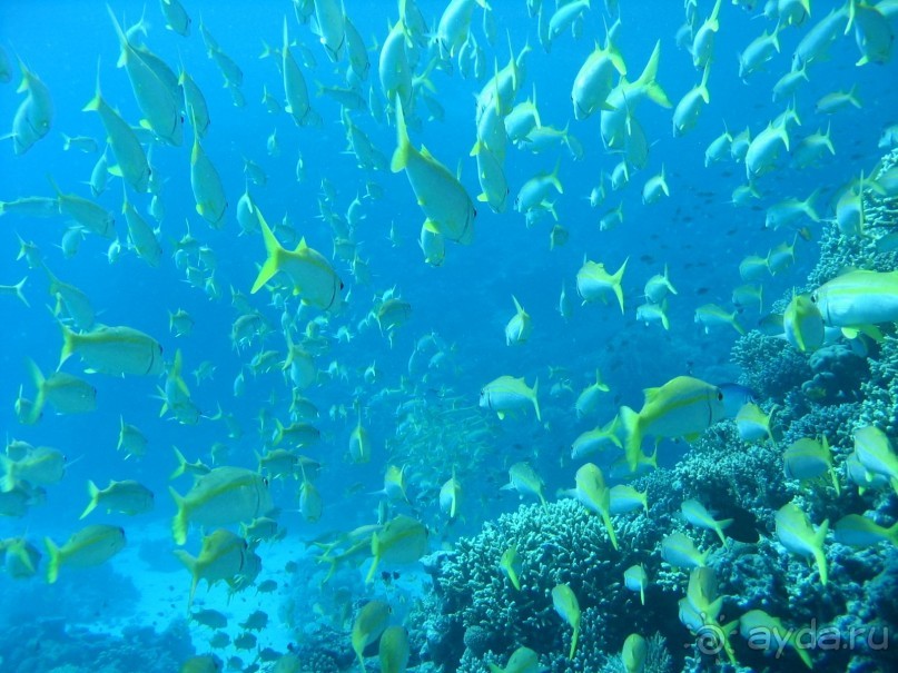 Хургада 2004 - море