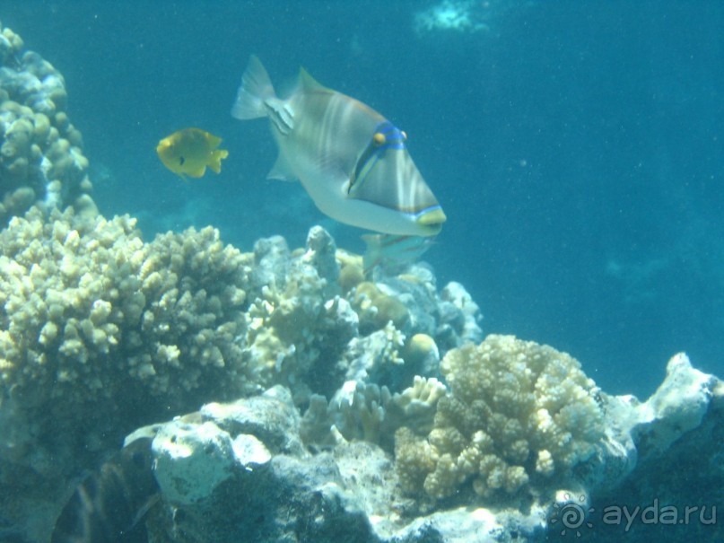 Хургада 2004 - море