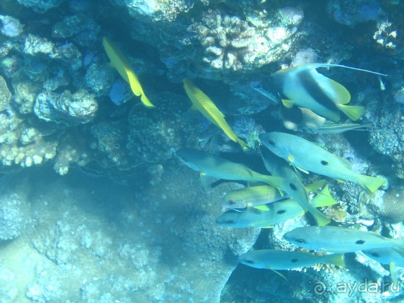 Хургада 2004 - море