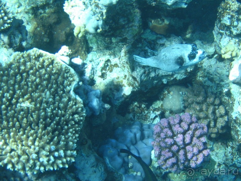 Хургада 2004 - море