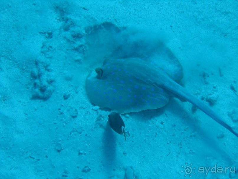 Хургада 2004 - море