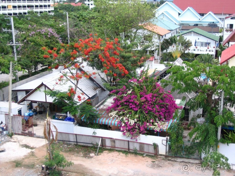 Сонгкран 2006