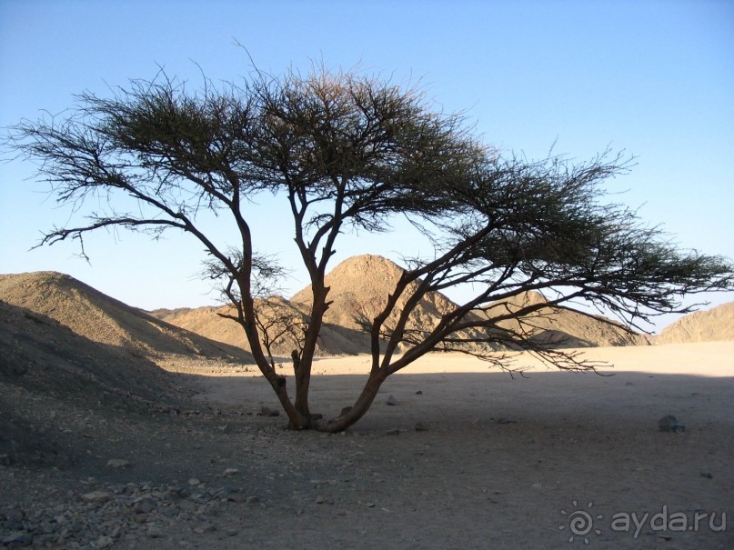 Хургада 2004 - пустыня