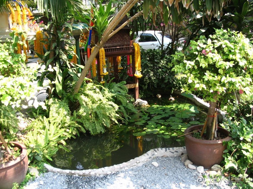 фото Island View