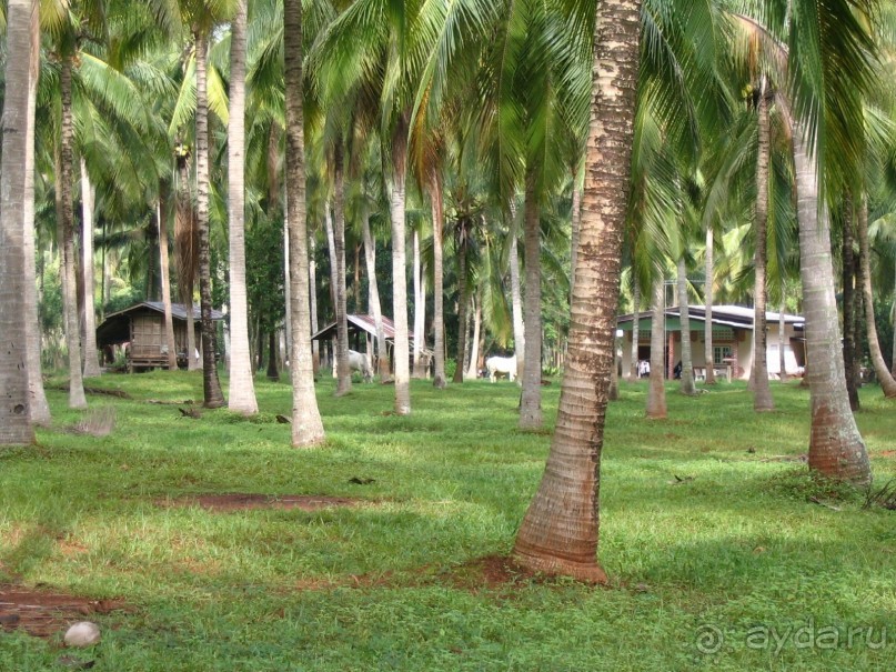 Как я ездил на похороны, 100 км южнее Хуа-Хина