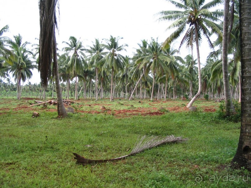 Как я ездил на похороны, 100 км южнее Хуа-Хина