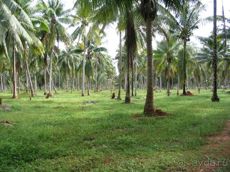 фото Хуа-Хина