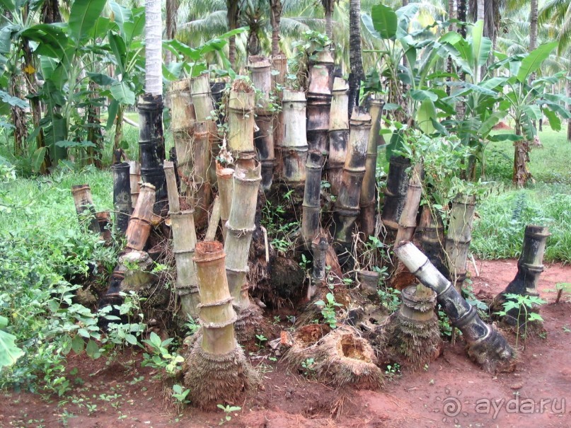 Как я ездил на похороны, 100 км южнее Хуа-Хина