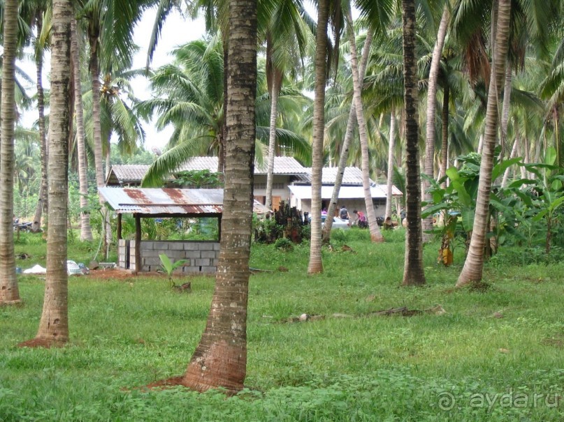 Как я ездил на похороны, 100 км южнее Хуа-Хина