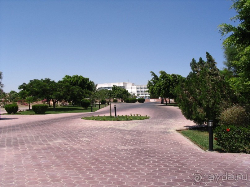 фото Pharaoh Azur Resort 