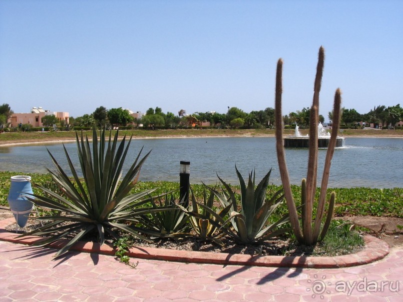 фото Pharaoh Azur Resort 