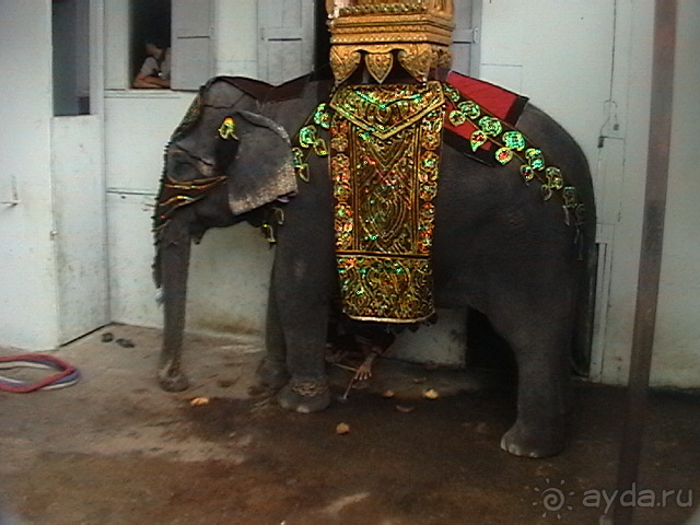 фото Tropikal Beach