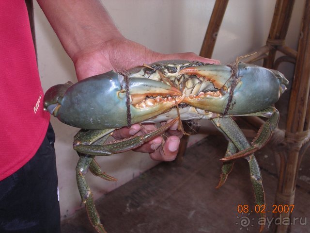 фото Caravela Beach Resort 