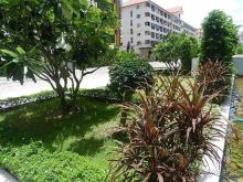 NEOcondo PATTAYA. Квартиры в аренду у пляжа Джомтьен