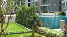 NEOcondo PATTAYA. Квартиры в аренду у пляжа Джомтьен