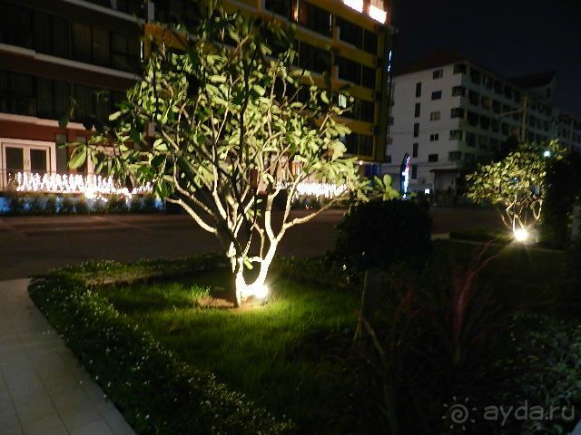 NEOcondo PATTAYA. Квартиры в аренду у пляжа Джомтьен