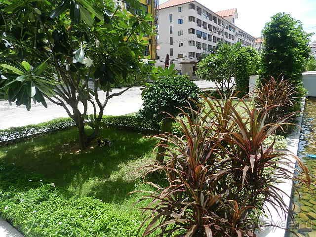 NEOcondo PATTAYA. Квартиры в аренду у пляжа Джомтьен