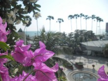 ПАТТАЙЯ. Jomtien PLAZA Condotel аренда квартир от 7 суток