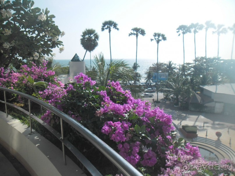 ПАТТАЙЯ. Jomtien PLAZA Condotel аренда квартир от 7 суток
