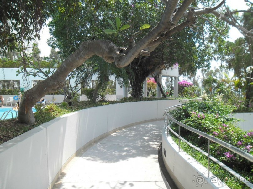 ПАТТАЙЯ. Jomtien PLAZA Condotel аренда квартир от 7 суток