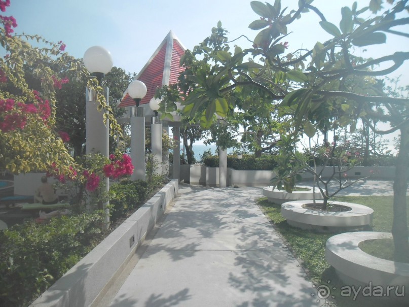 ПАТТАЙЯ. Jomtien PLAZA Condotel аренда квартир от 7 суток