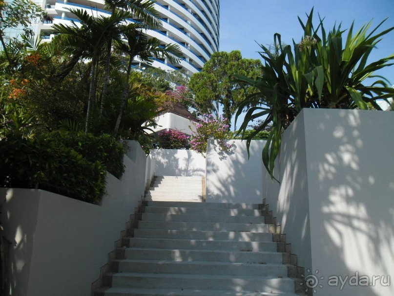 ПАТТАЙЯ. Jomtien PLAZA Condotel аренда квартир от 7 суток