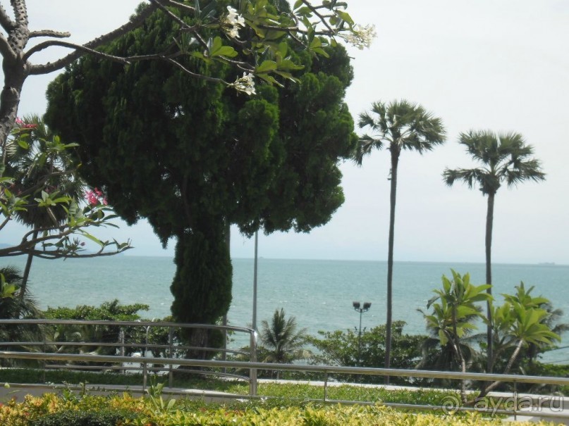 ПАТТАЙЯ. Jomtien PLAZA Condotel аренда квартир от 7 суток