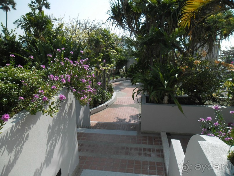 ПАТТАЙЯ. Jomtien PLAZA Condotel аренда квартир от 7 суток