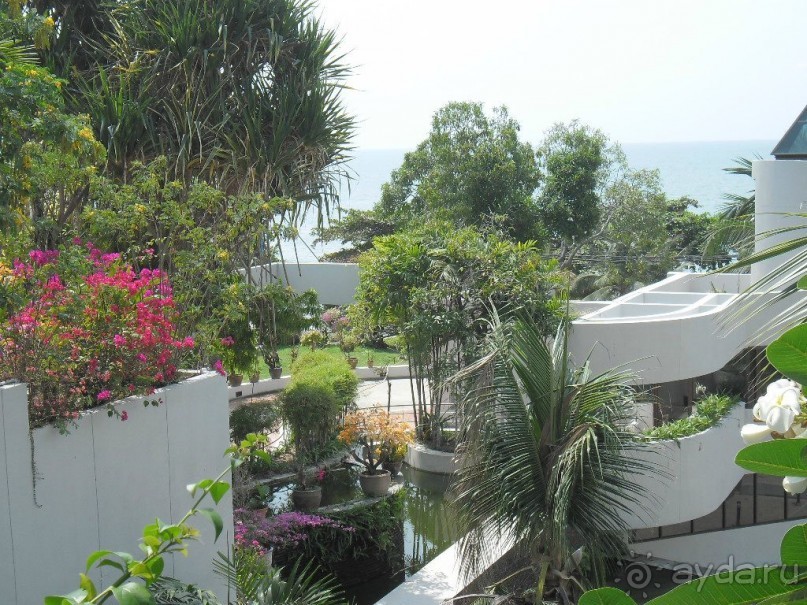 ПАТТАЙЯ. Jomtien PLAZA Condotel аренда квартир от 7 суток