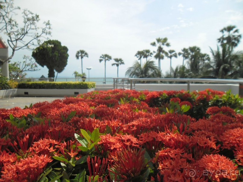 ПАТТАЙЯ. Jomtien PLAZA Condotel аренда квартир от 7 суток