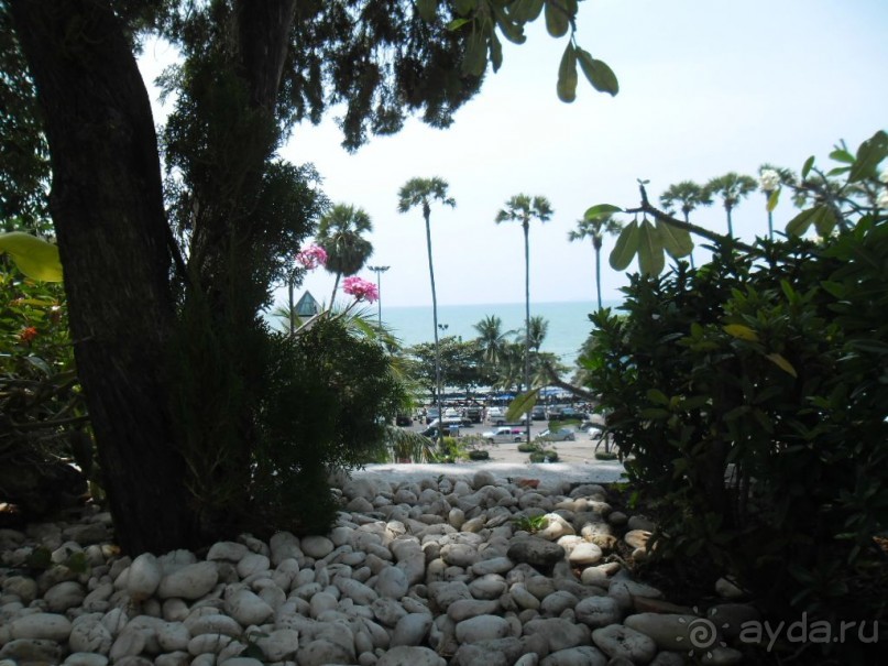 ПАТТАЙЯ. Jomtien PLAZA Condotel аренда квартир от 7 суток