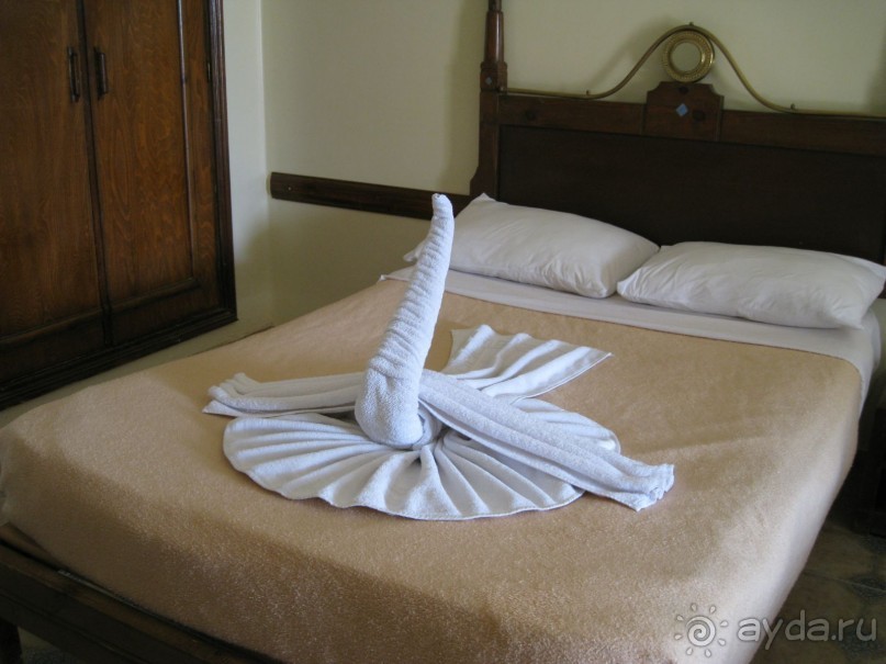 "Корпоратив на египетской земле".