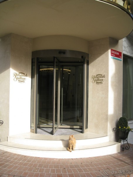 Ноябрьский трип в Стамбул.