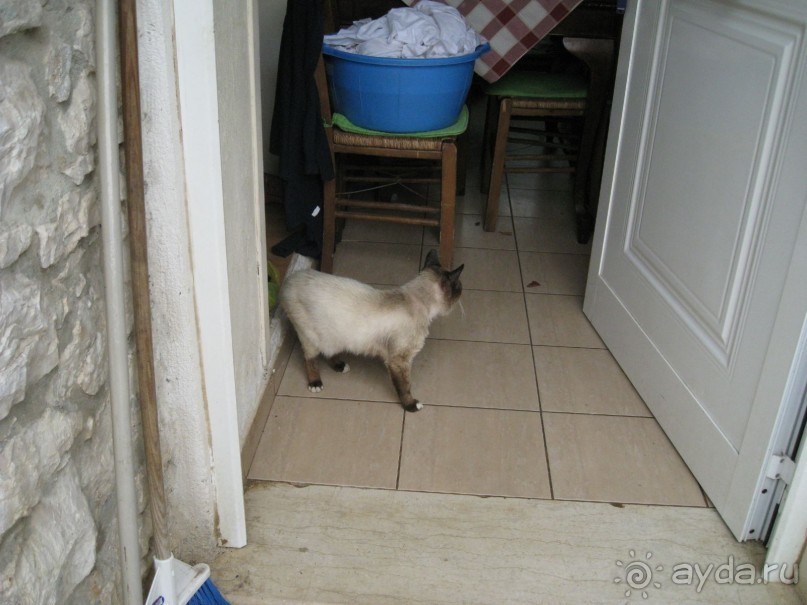 Волшебные пляжи Кассиопи.