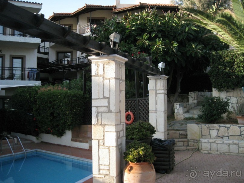 фото Корона