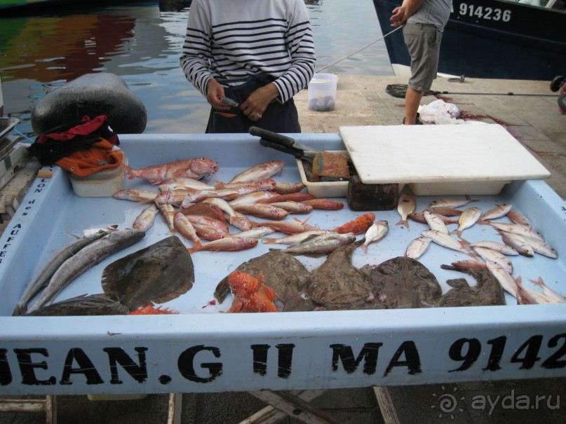 Знакомство с Марселем