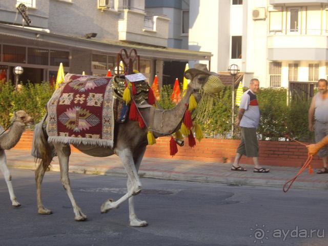 Все зависит от настроя с которым вы едете отдыхать!