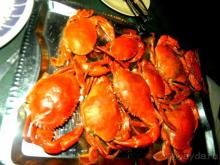 фото Ривьера