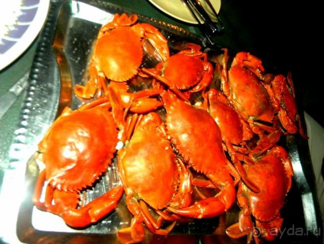 ГОА и Альфа - Трэвэл