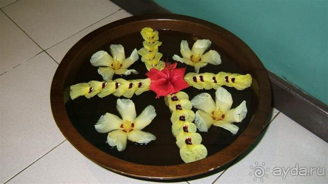 Лучшее место для БАНАНАМУНА