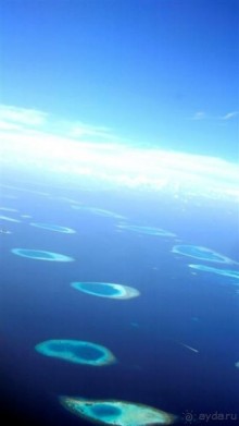 Лучшее место для БАНАНАМУНА