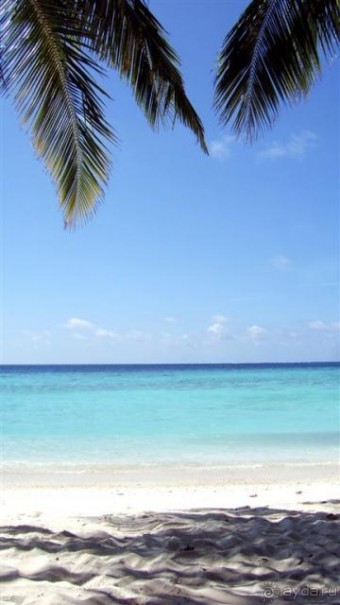 Лучшее место для БАНАНАМУНА