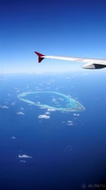 Лучшее место для БАНАНАМУНА