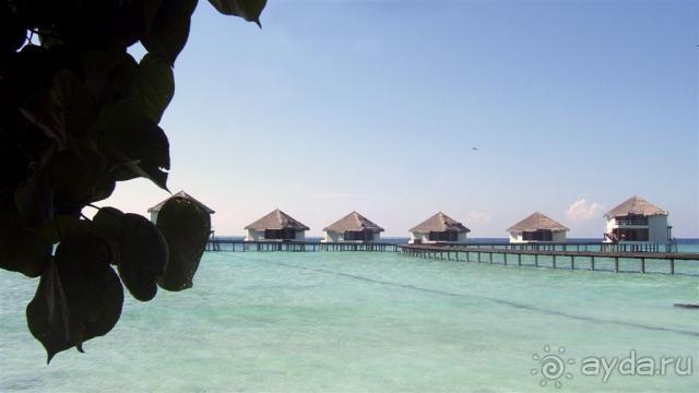 Лучшее место для БАНАНАМУНА